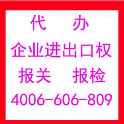專業(yè)代理各類進出口業(yè)務(wù)，助力企業(yè)高效拓展國際市場